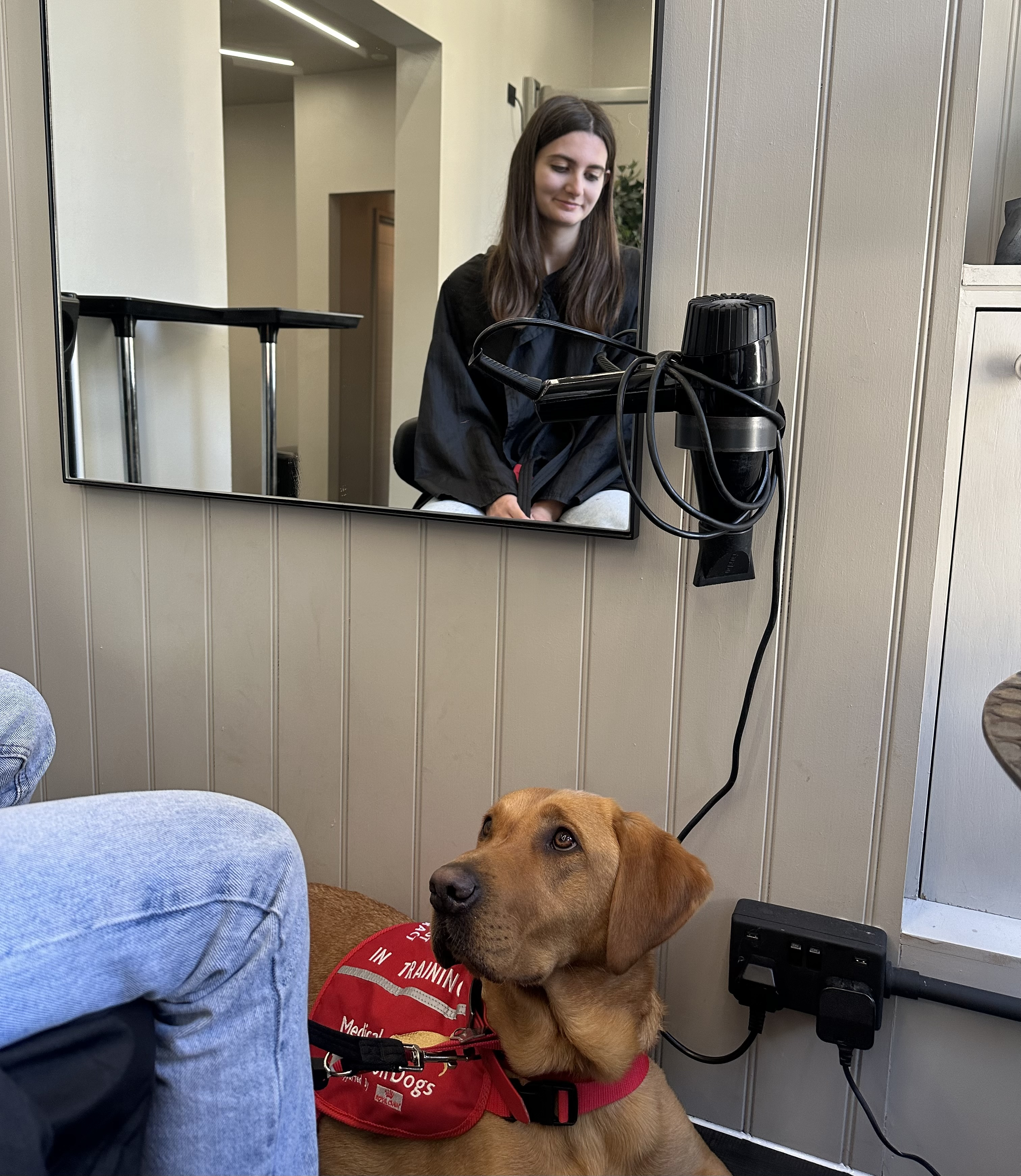 Daisy at the hairdressers with Jarvis, her medical rescue dog
